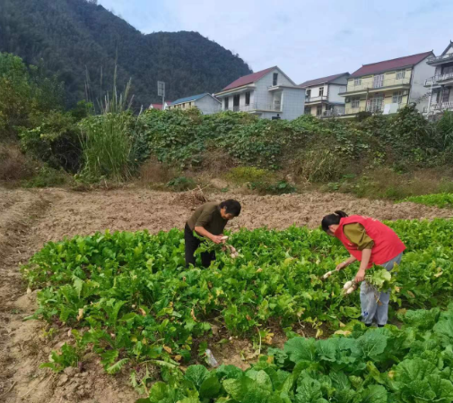 pg电子最新网站入口东至县葛公镇：推行居家养老服务 温暖低收入老年人(图2)